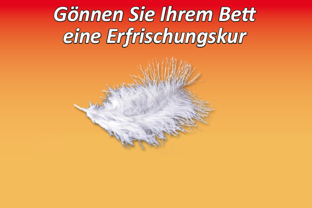 reinigung2.jpg