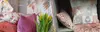 slider2024-02.webp